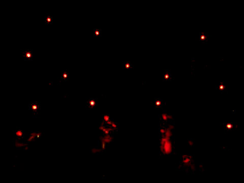 JANE BIRKIN ON TOUR, LE PALACE  et tourn&eacute;e internationale, 2009