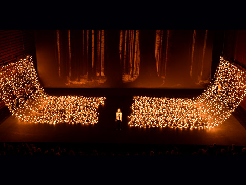 TRISTESSE ANIMAL NOIR, THÉÂTRE NATIONALE DE LA COLLINE, 2013.02