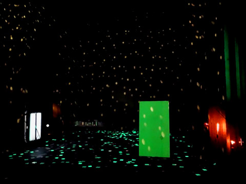 PROJET LUCIOLE, Festival d'Avignon et Le Monfort, 2013.07