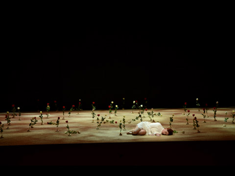 LA VESTALE, THEATRE DES CHAMPS ELYSEE, 2013.10